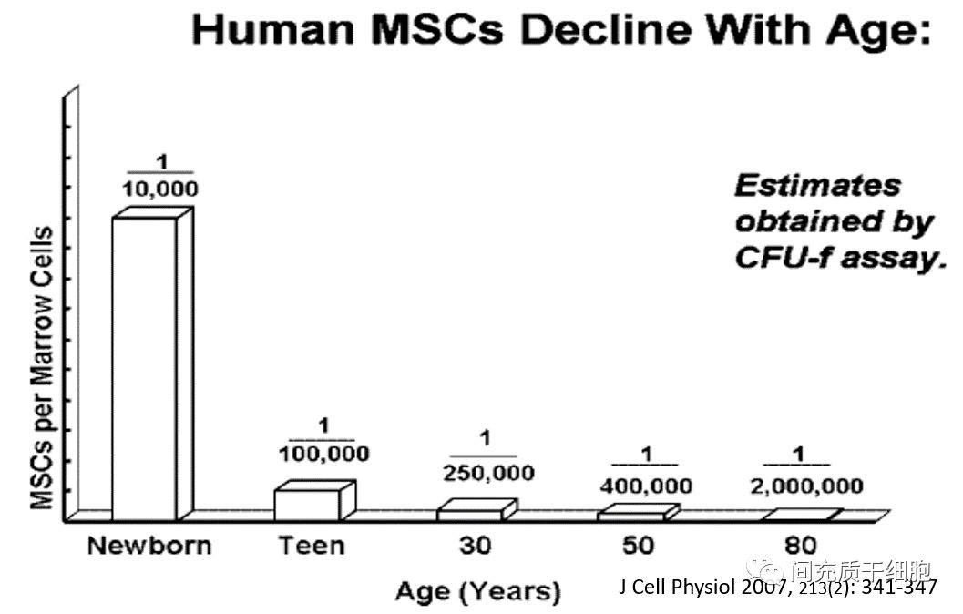 間充質(zhì)干細胞的前世今生