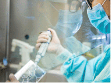 干細胞制劑質量控制及臨床前研究指導原則（試行）